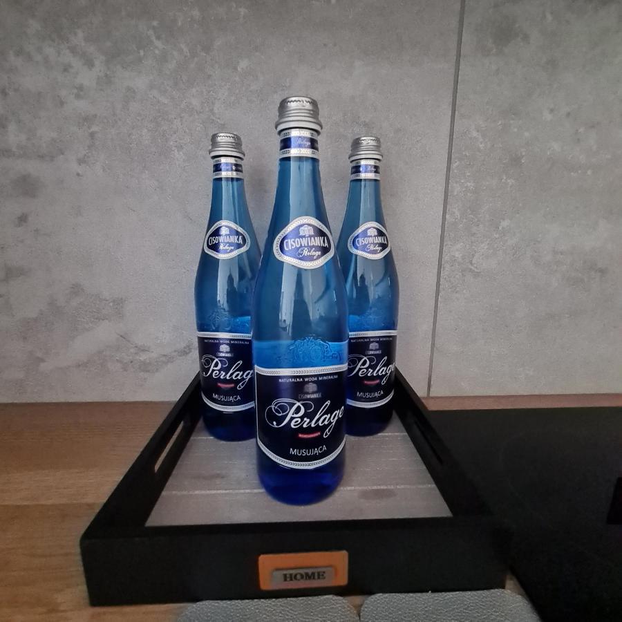 Mieszkanie W Nowoczesnym Halo Apartament W Centrum 弗罗茨瓦夫 外观 照片